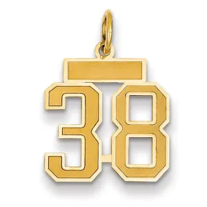 14k Yellow Gold Satin Brush Finish Small Size Number 38 Charm Pendant