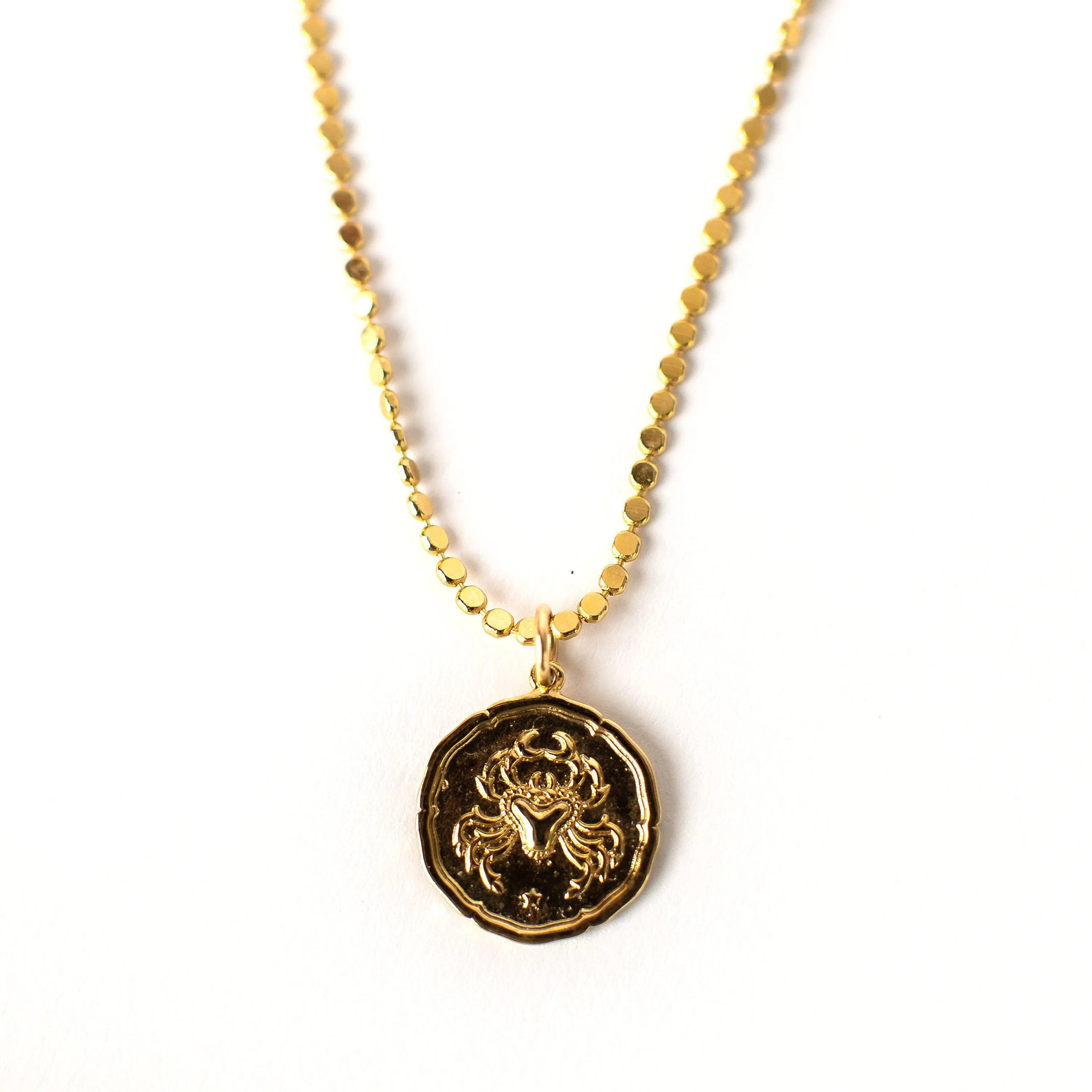 Zodiac Necklace - Last Chance